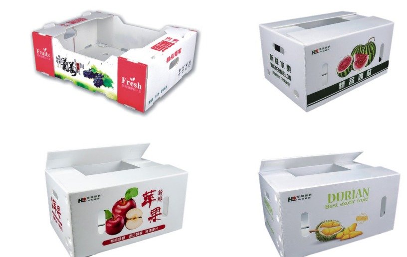 Hộp trái cây nhựa danpla